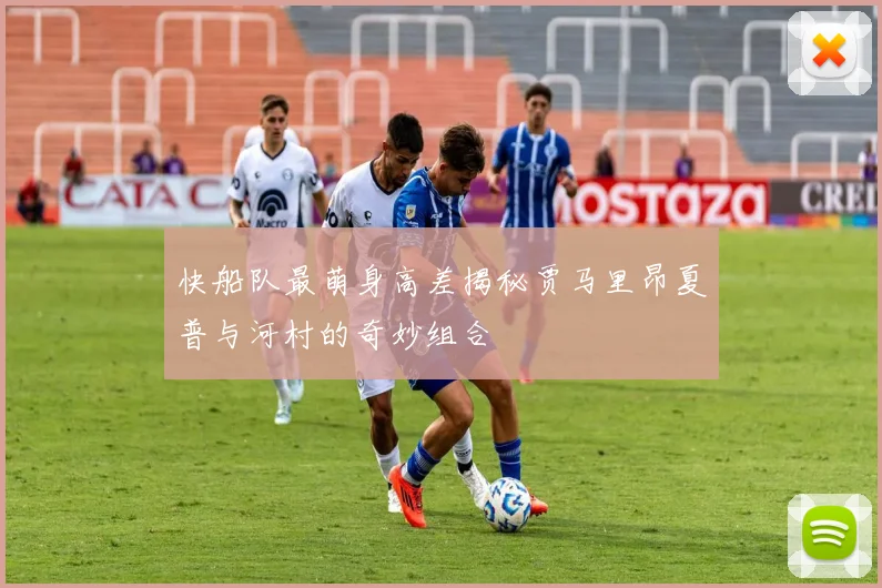 快船队最萌身高差揭秘贾马里昂夏普与河村的奇妙组合